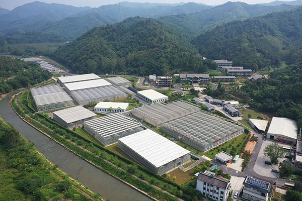 “外乡人”扎根乡村振兴一线 以产业兴旺带动百姓增收致富