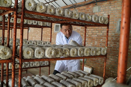 张志军委员：时时放心不下对乡亲们的责任