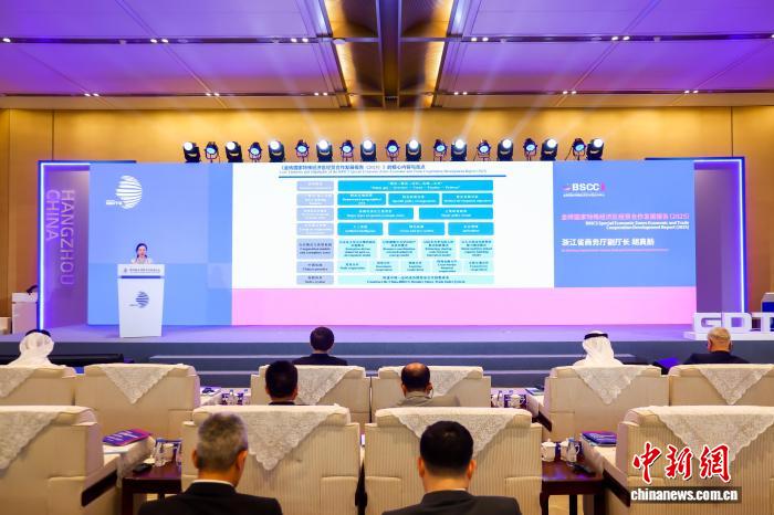 《金砖国家特殊经济区经贸合作发展报告2025》在杭州发布