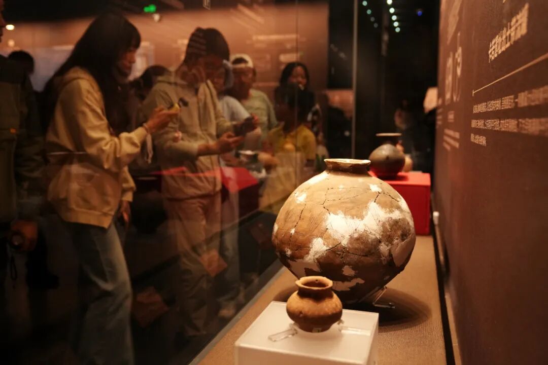 东西问丨霍巍：中国西藏考古，如何从“追赶”到“引领”？