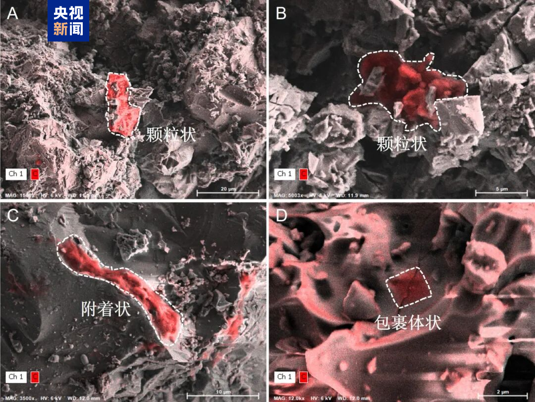 <b>月壤“时间胶囊”揭示太阳系有机质演化史</b>